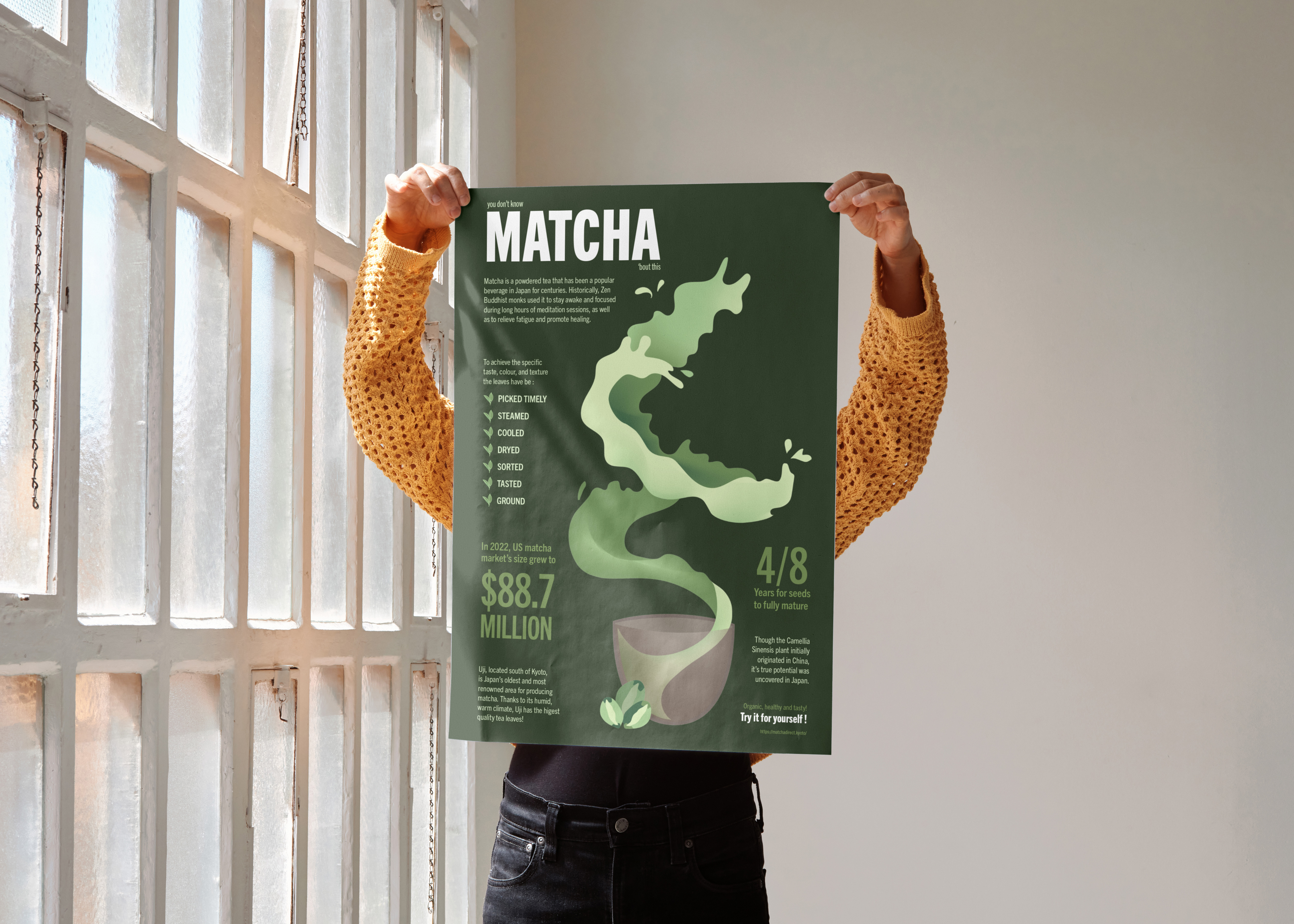 Infographic poster